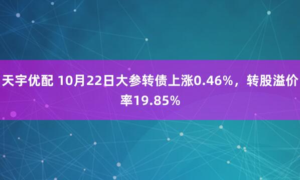 天宇优配 10月22日大参转债上涨0.46%，转股溢价率19.85%