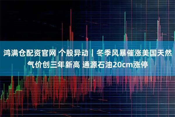 鸿满仓配资官网 个股异动｜冬季风暴催涨美国天然气价创三年新高 通源石油20cm涨停