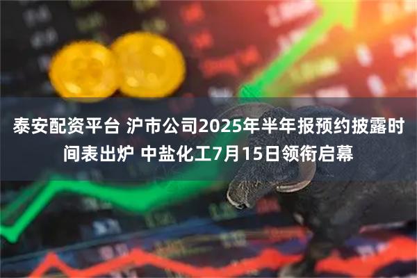泰安配资平台 沪市公司2025年半年报预约披露时间表出炉 中盐化工7月15日领衔启幕